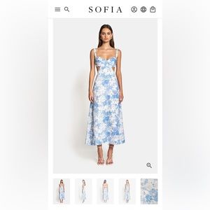Sofia Blue Floral Dress